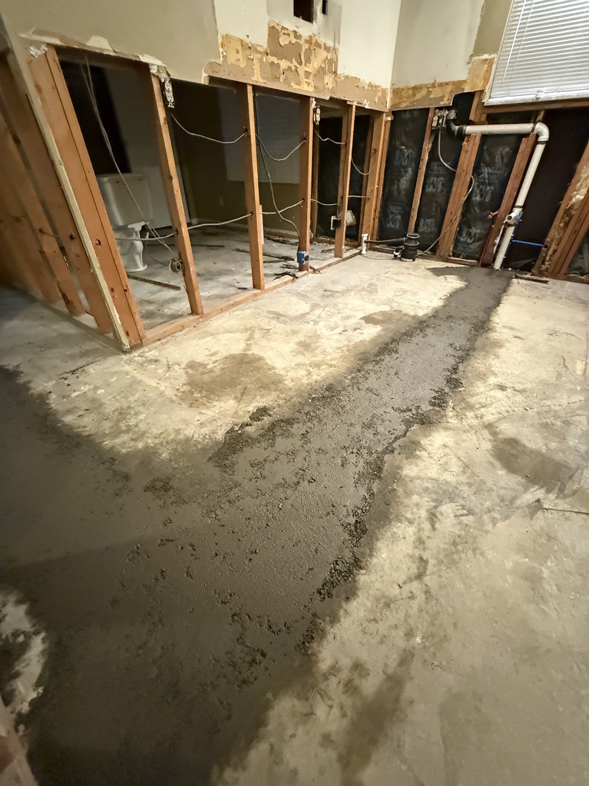 Mold Remediation services in Dayton, OH